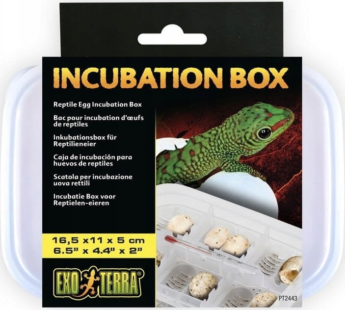 Exo Terra Box Inkubacyjny, 16,5 x 11 x 5cm