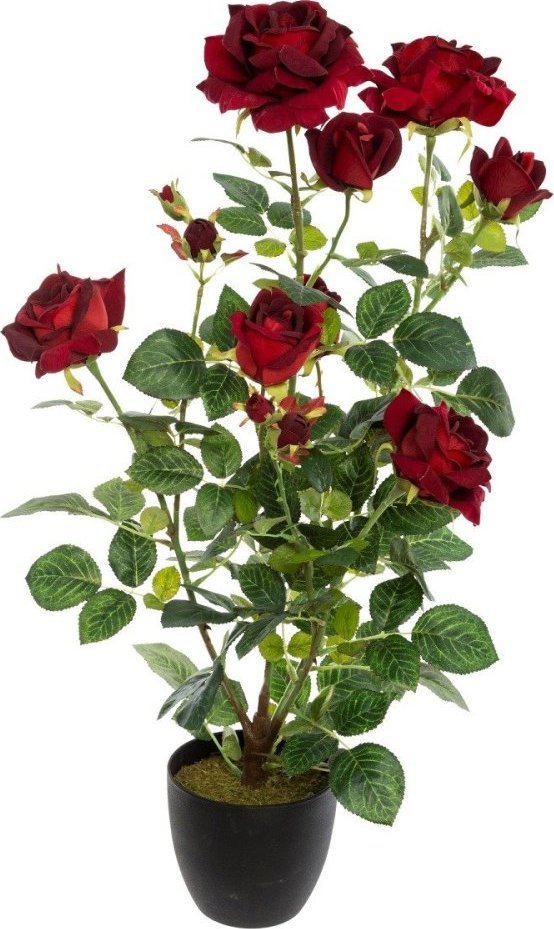 Atmosphera Sztuczna roślina w donicy KRZEW RÓŻY, 74 cm, czerwona