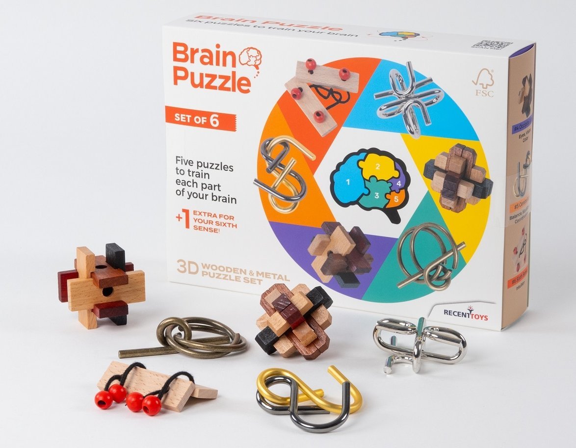 Recent Toys RECENT TOYS Brainteaser Brain puzzle set