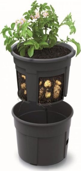 ProGarden DONICZKA DONICA DO UPRAWY ZIEMNIAKÓW WARZYW 12L () - 1157142