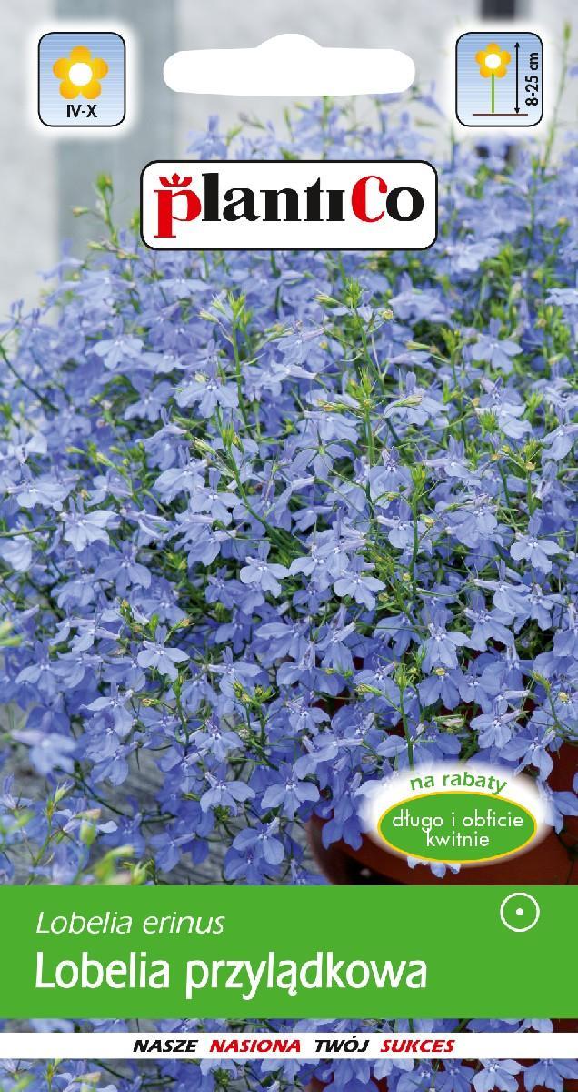 Plantico Lobelia Przylądkowa Niebieska - Arletka 0,2g
