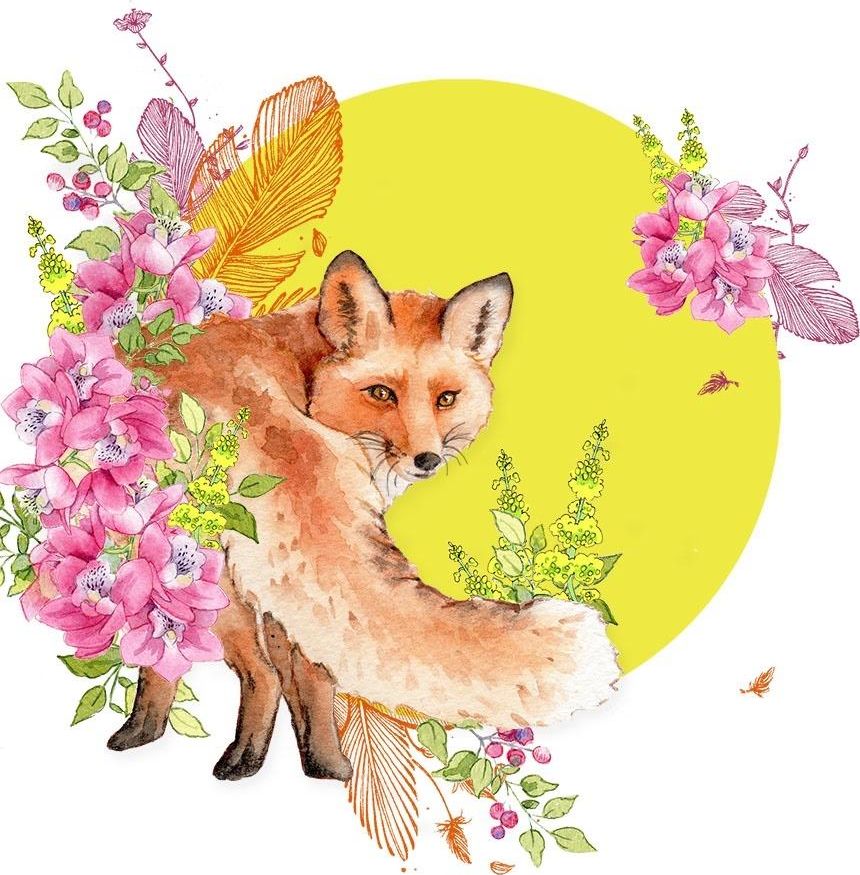 Clear Creation Karnet Swarovski kwadrat CL2005 Lis