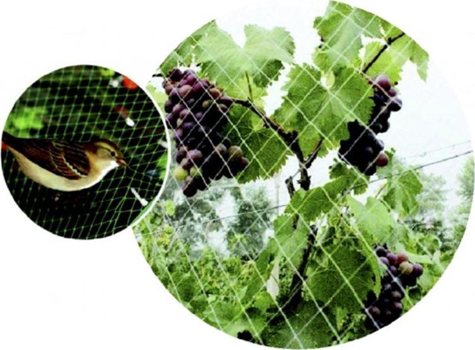 vidaXL Green>it® fuglenet 25×25 mm x 6×6 meter