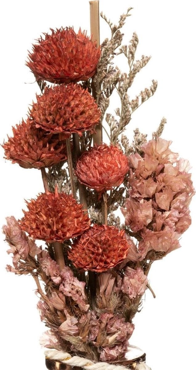 Atmosphera Suche kwiaty w wazonie, 28 cm