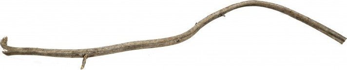 Terra Natura Korzeń Rattanowy 20-40 cm