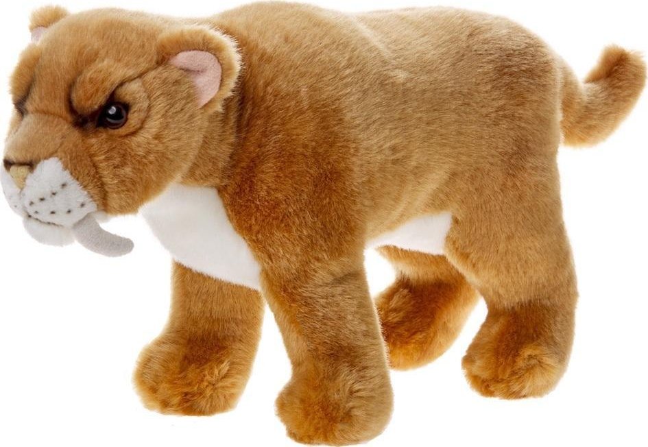 Tygrys szablozębny 33cm