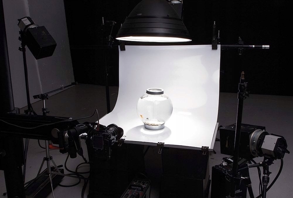 Colorama SUPER WHITE GLOSS - tło Colorgloss 100 x 130 c