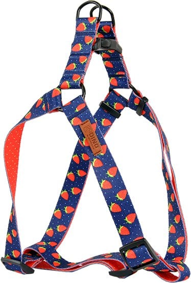 Dino DINO SZELKI TAŚMA REG. IVO 25mm TRUSKAWK dł. 60-90cm