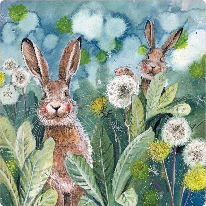 Teka Magnes FM207 Króliczki