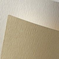 Herlitz KARTON OZDOBNY KORA A4 BIAŁY 230 G/M2