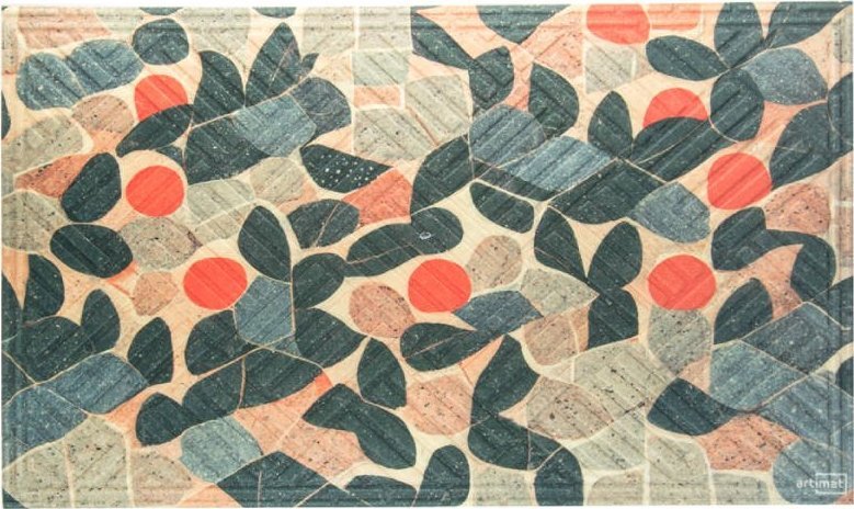 Direct Home and Garden Wycieraczka z nadrukiem Kolorowa