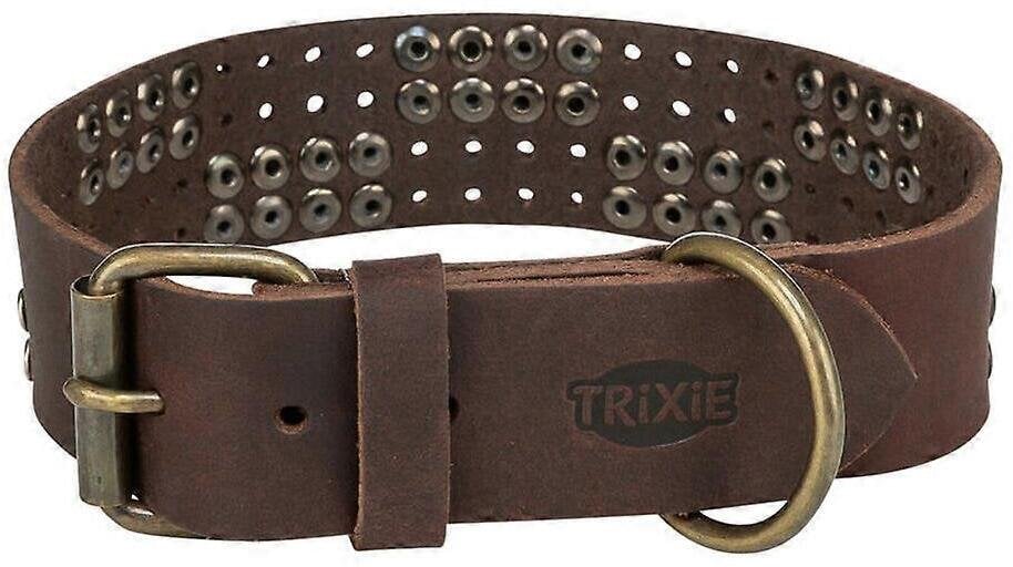 Trixie Rustic Rivet, obroża, dla psa, z grubej skóry, ciemnobrązowa, M: 38–47 cm/40 mm