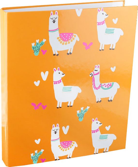 Segregator ADELANTE 2-ringowy A4 20mm pomarańczowy