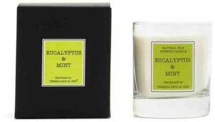 Świeca Santiago 230gr. Eucalyptus and mint / Cereria Molla