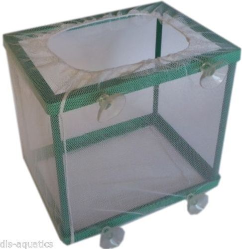 Aqua Nova Kotnik Siatkowy Mały