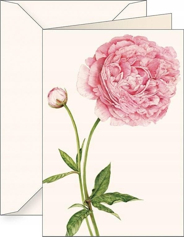 Teka Karnet B6 + koperta 6136 Piwonia chińska 2