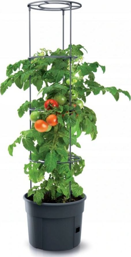 Prosperplast Doniczka do pomidorów Tomato Grower IPOM400