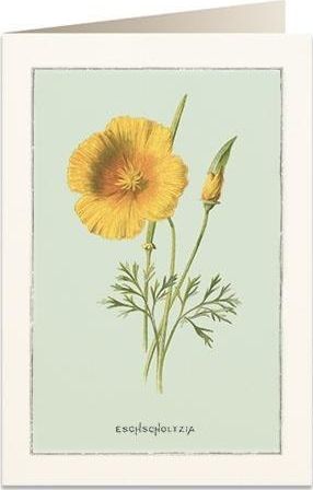 Tassotti Karnet B6 + koperta 6021 Pozłotka