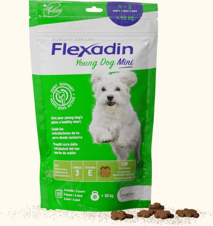 Triton VETOQUINOL Flexadin Young Dog Mini 60kąsków
