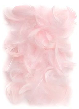 DP Craft PiĂłrka dekoracyjne 5-12 cm Pink CEPI-018