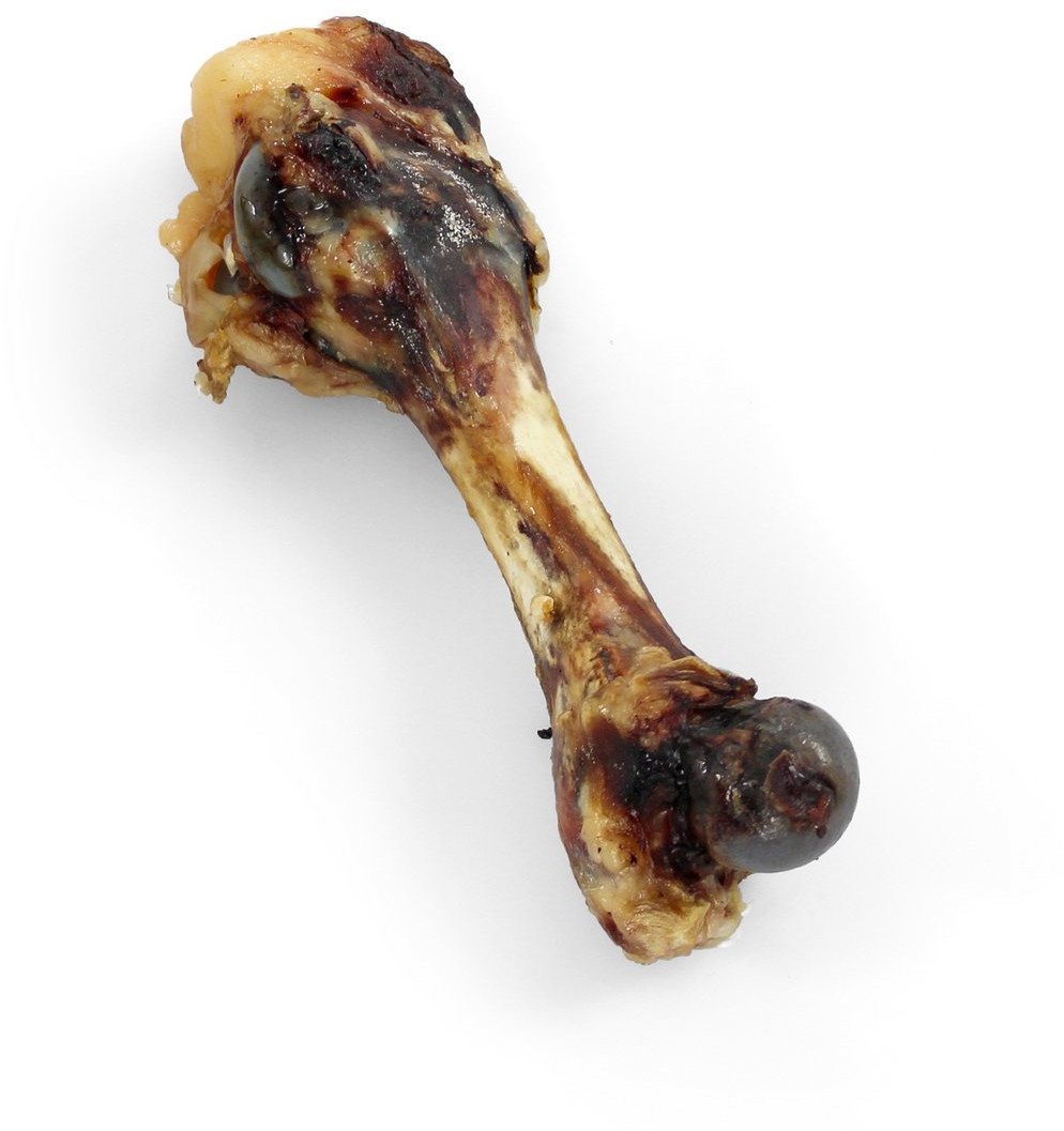 Lucze kość szynkowa suszona 1 szt.