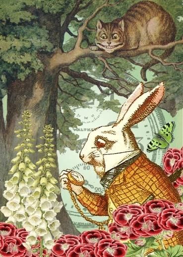 Madame Treacle Karnet B6 z kopertą Alicja w krainie czarów