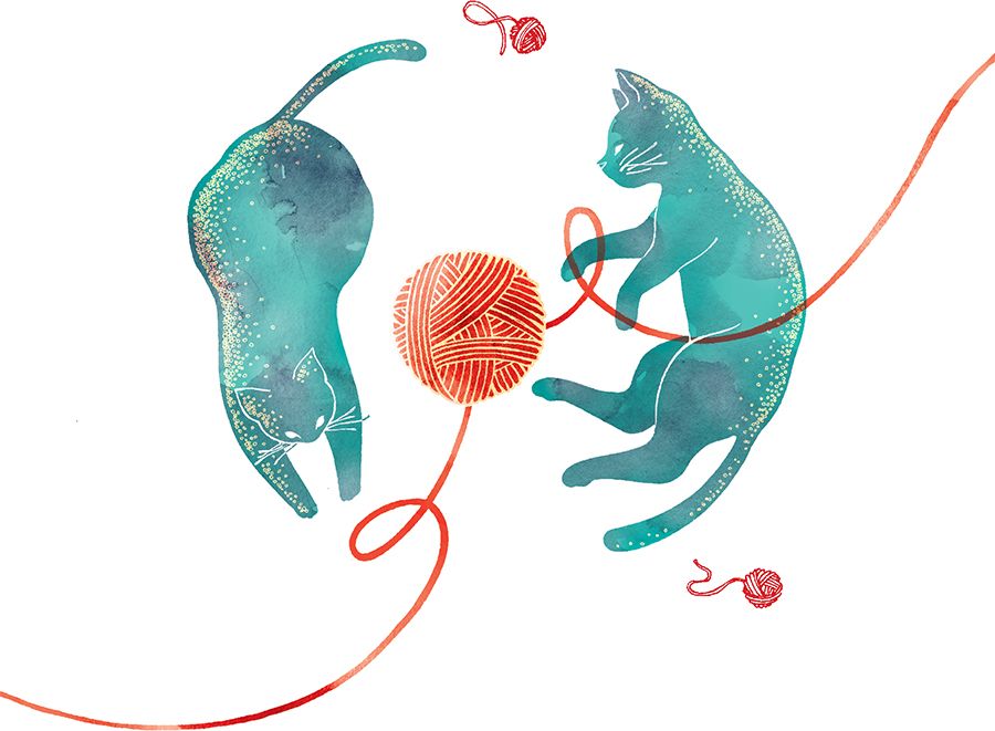 Clear Creation Karnet Swarovski kwadrat Niebieskie koty (CL2607)