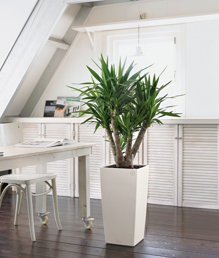 Lechuza Doniczka Cubico color 22, w różnych kolorach