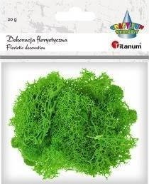 Tajemniczy ogród Mech chrobotek jasnozielony 20g