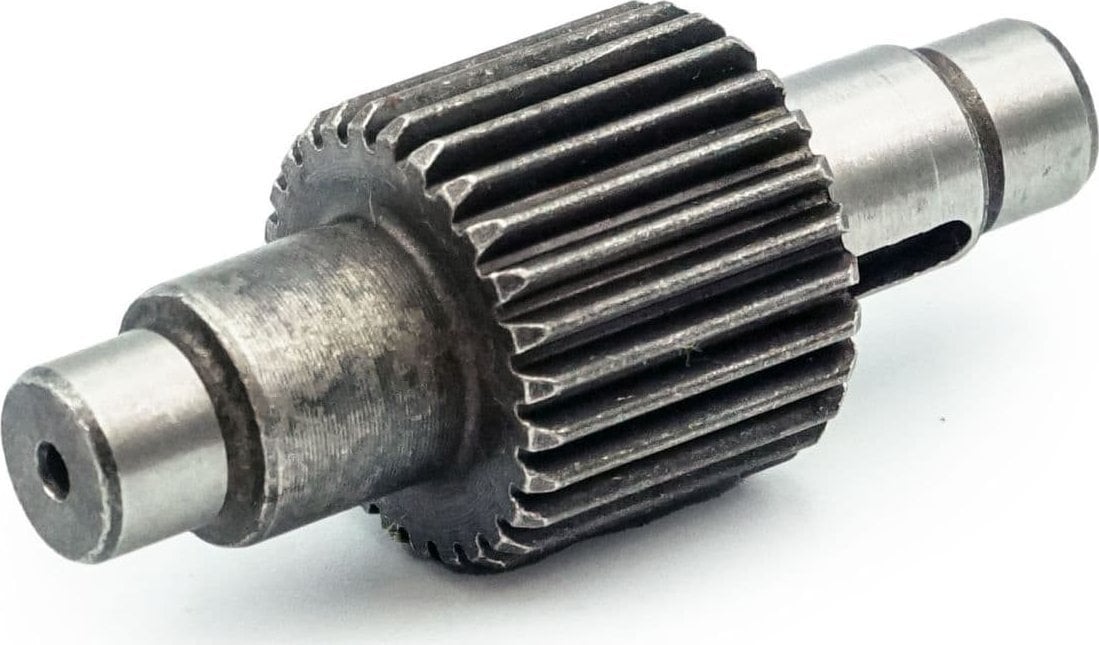 Dedra Wałek uzębiony