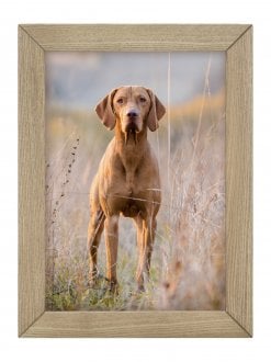 Ramka Gift Decor Ramka Woodflow FrameFlip A4