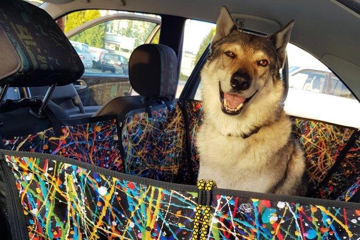 AUUU Pokrowiec tylnej kanapy samochodu POFARBIONY