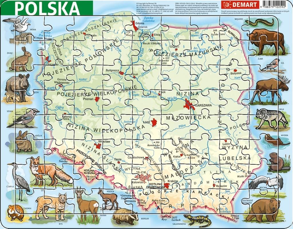 Demart Puzzle ramkowe - Polska fizyczna