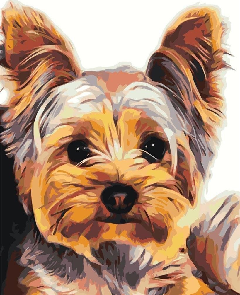 Malowanie po numerach - 30x40cm York EDUKAMP