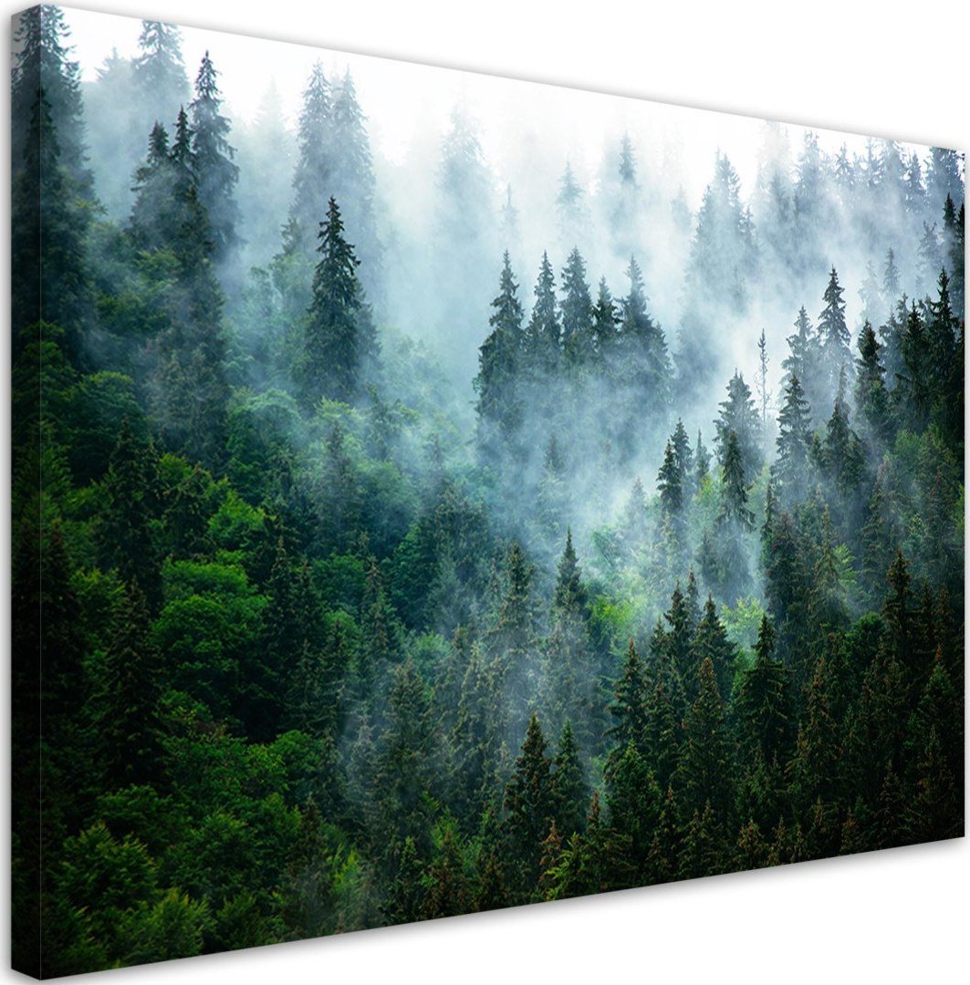 Feeby Obraz na płótnie, Las we mgle - 120x80