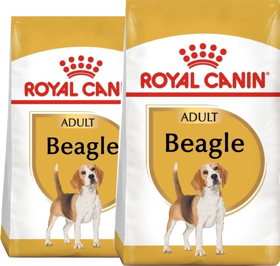 Royal Canin ROYAL CANIN Beagle Adult 2x12kg karma sucha dla psów dorosłych rasy beagle