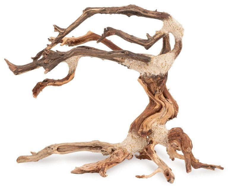 Ton�ce drzewo Bonsai nr nr 24 35x25