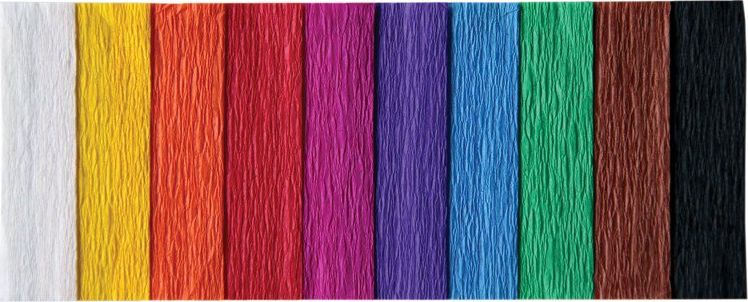 Interdruk BibuĹ‚a marszczona mix 3