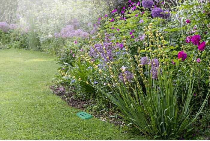 Osram SMART+ RF Soil Moisture Sensor | Green