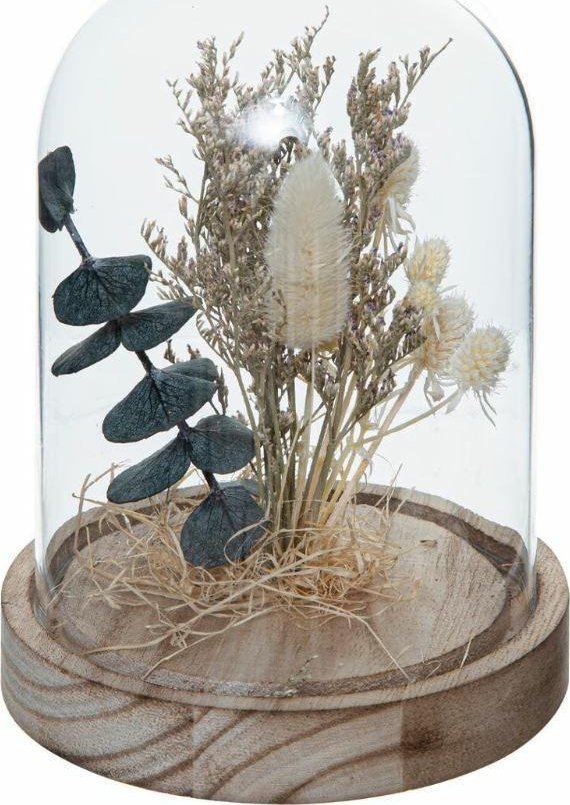 Atmosphera Suszone kwiaty pod kloszem House