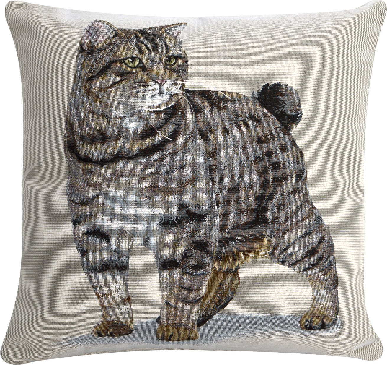 Witek Home Poszewka dekoracyjna 45x45 cm Kocur 797