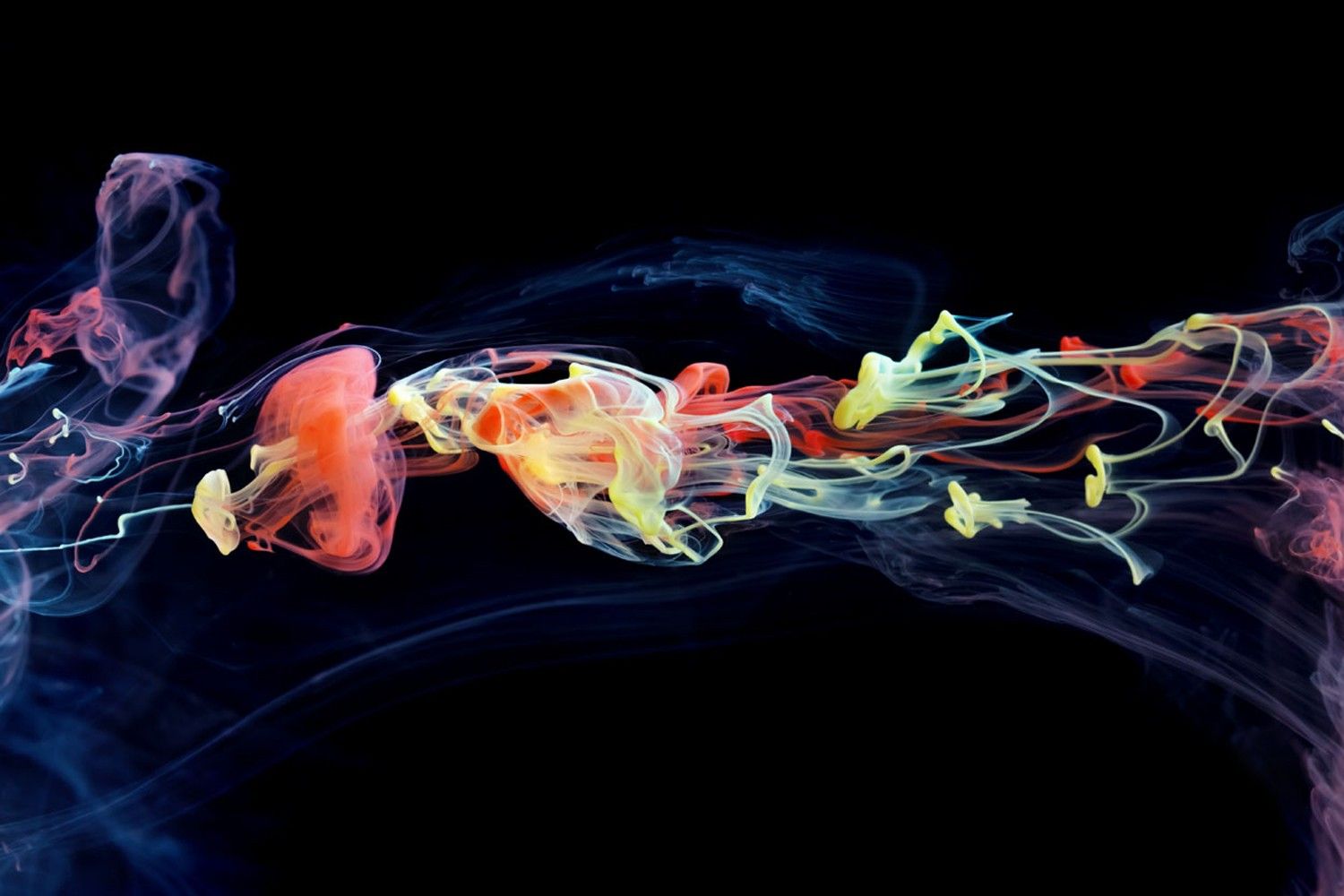 Witek Home Obraz szklany 120x80 Art Color