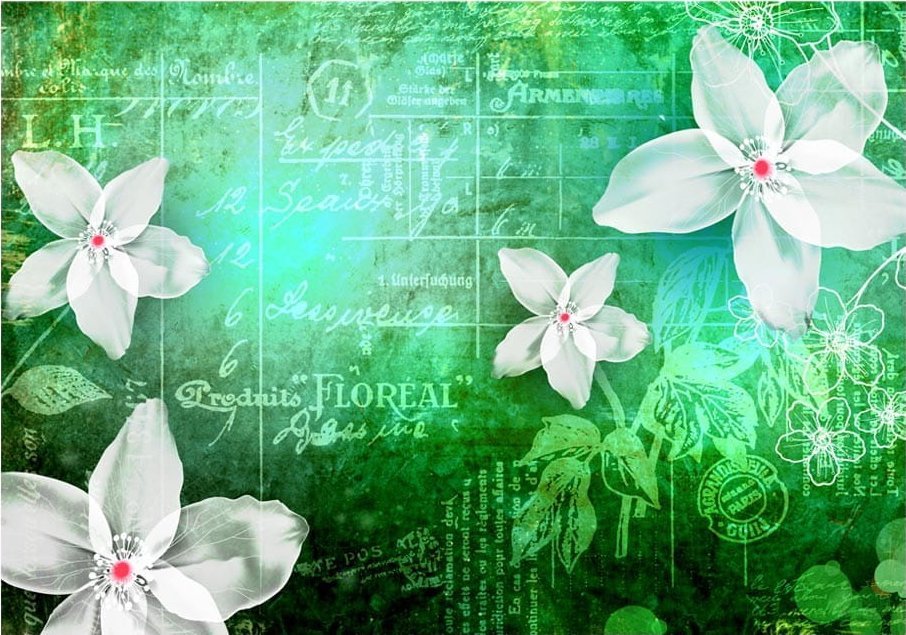 DecoNest Fototapeta - Floral notes III - 300X210