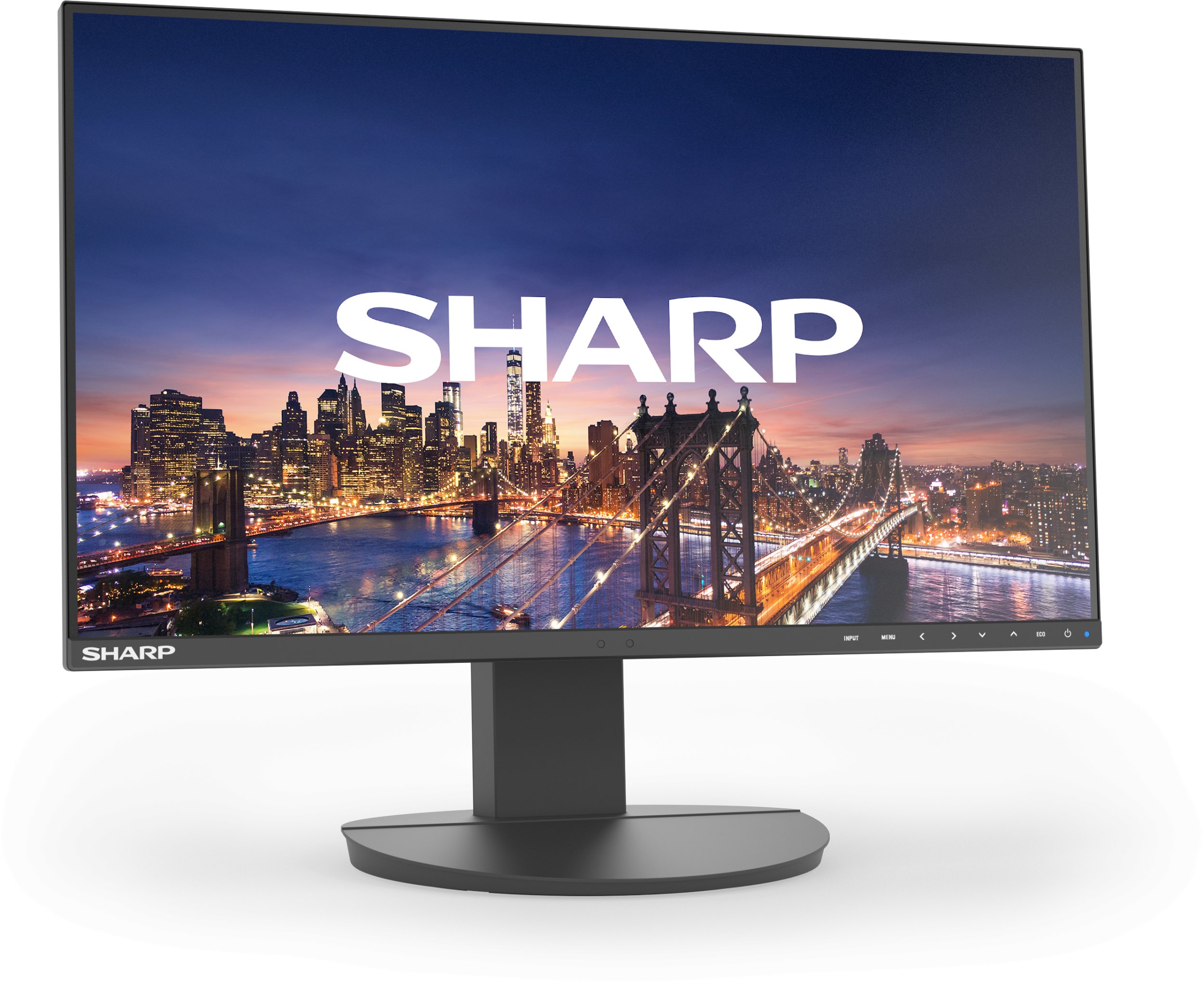 Sharp MultiSync EA241F monitor komputerowy 61 cm (24") 1920 x 1080 px Full HD LCD Czarny