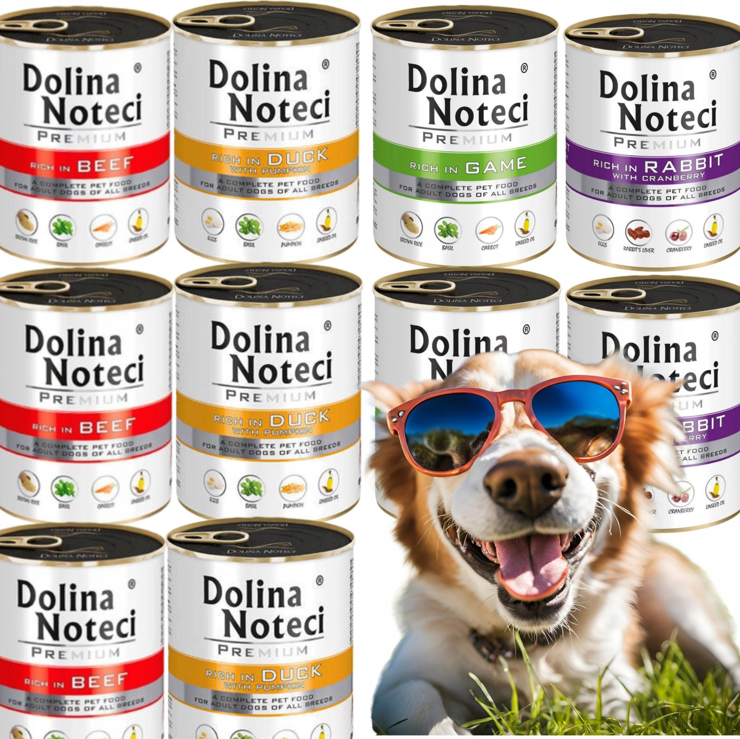 Dolina Noteci Premium Mix smaków 10x800g