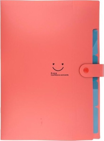 Teczka plastikowa A4 z 5 przegródkami czerwona