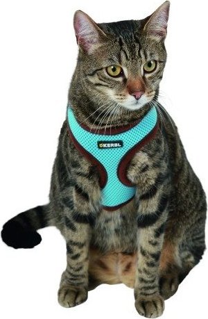 Kerbl Szelki z lamówką + smycz 120cm dla kota Niebieskie