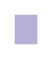 Rimmel 60 Seconds Nail Polish By Rita Ora 558 8ml