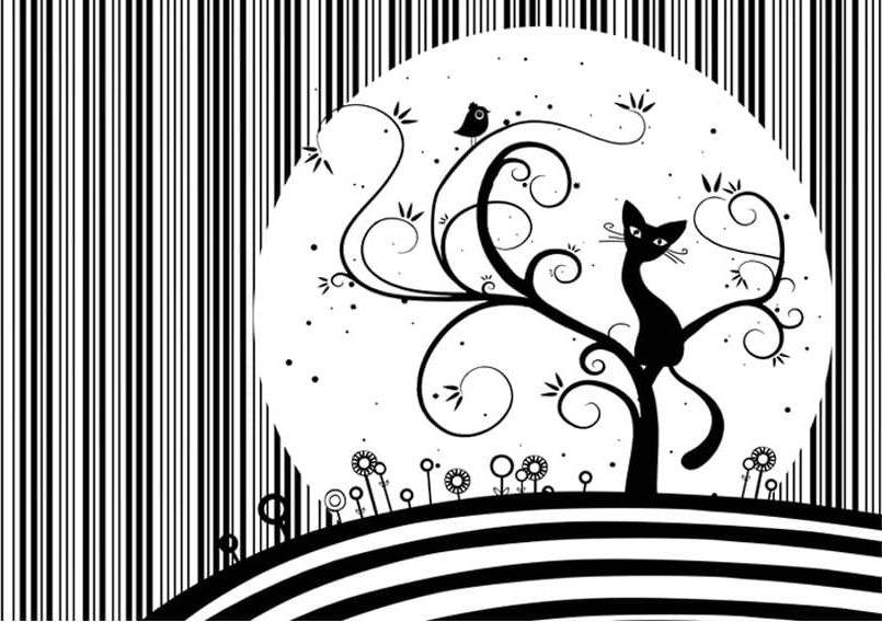 DecoNest Fototapeta - Kocia melodia III - 100X70