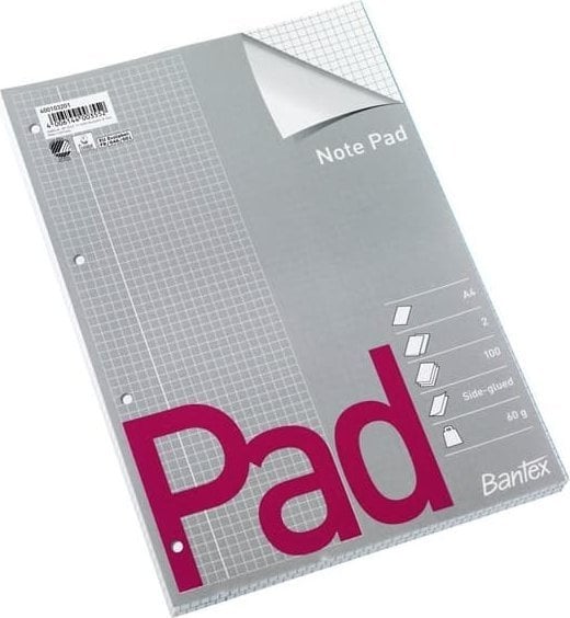 Bantex STANDARDBLOK A4 w kratkę z perforacją 2-pak